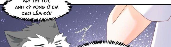 Trọng Sinh Thành Chó Của Nữ Thần Chapter 295 - Trang 3