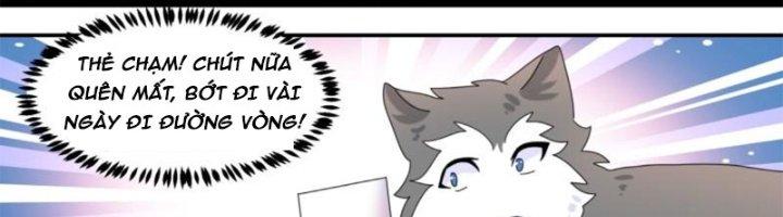 Trọng Sinh Thành Chó Của Nữ Thần Chapter 295 - Trang 3