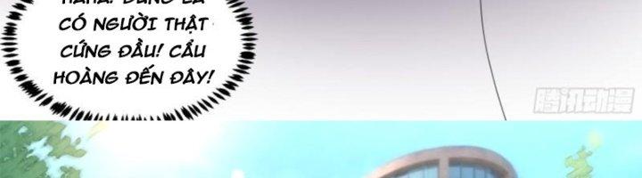 Trọng Sinh Thành Chó Của Nữ Thần Chapter 295 - Trang 3