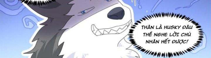 Trọng Sinh Thành Chó Của Nữ Thần Chapter 296 - Trang 3