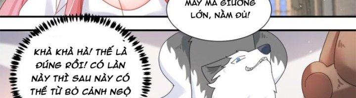 Trọng Sinh Thành Chó Của Nữ Thần Chapter 296 - Trang 3