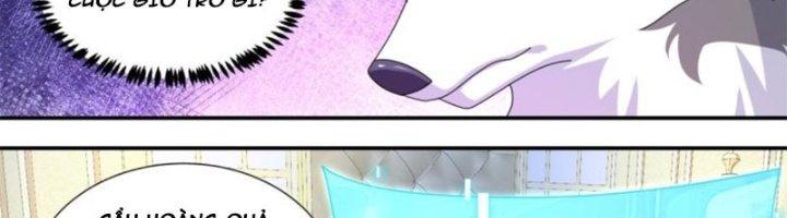 Trọng Sinh Thành Chó Của Nữ Thần Chapter 296 - Trang 3