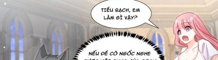 Trọng Sinh Thành Chó Của Nữ Thần Chapter 296 - Trang 3