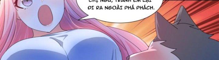 Trọng Sinh Thành Chó Của Nữ Thần Chapter 296 - Trang 3
