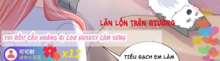 Trọng Sinh Thành Chó Của Nữ Thần Chapter 296 - Trang 3