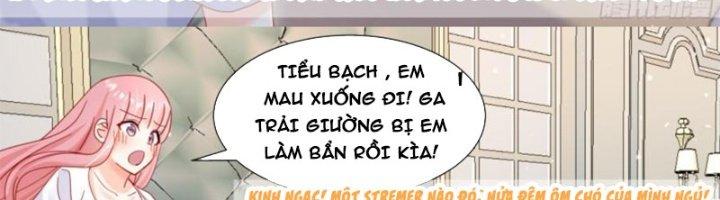 Trọng Sinh Thành Chó Của Nữ Thần Chapter 296 - Trang 3