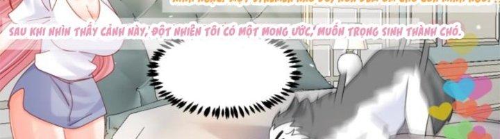 Trọng Sinh Thành Chó Của Nữ Thần Chapter 296 - Trang 3