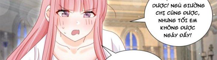 Trọng Sinh Thành Chó Của Nữ Thần Chapter 296 - Trang 3
