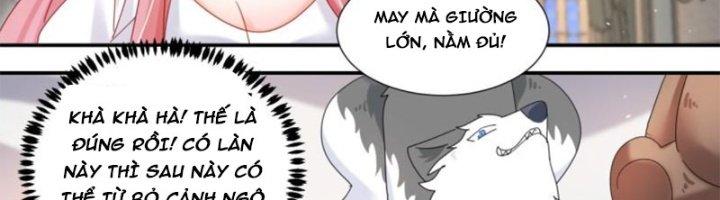 Trọng Sinh Thành Chó Của Nữ Thần Chapter 296 - Trang 3