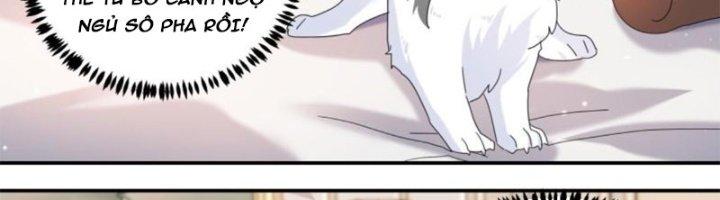 Trọng Sinh Thành Chó Của Nữ Thần Chapter 296 - Trang 3