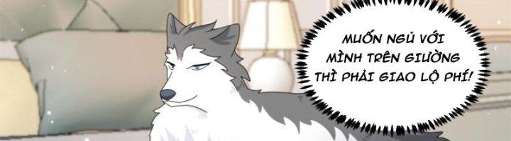 Trọng Sinh Thành Chó Của Nữ Thần Chapter 296 - Trang 3