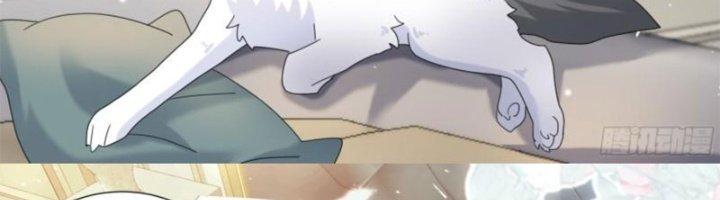 Trọng Sinh Thành Chó Của Nữ Thần Chapter 296 - Trang 3