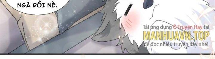 Trọng Sinh Thành Chó Của Nữ Thần Chapter 297 - Trang 3