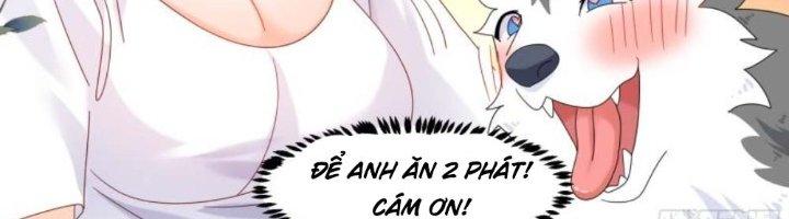 Trọng Sinh Thành Chó Của Nữ Thần Chapter 297 - Trang 3