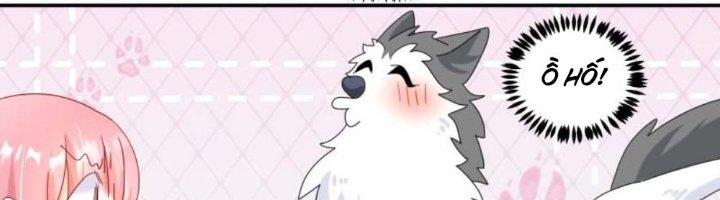 Trọng Sinh Thành Chó Của Nữ Thần Chapter 297 - Trang 3