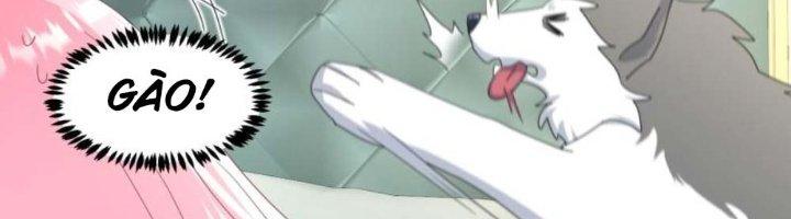 Trọng Sinh Thành Chó Của Nữ Thần Chapter 297 - Trang 3