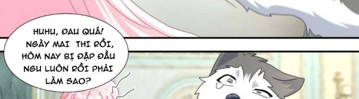 Trọng Sinh Thành Chó Của Nữ Thần Chapter 297 - Trang 3