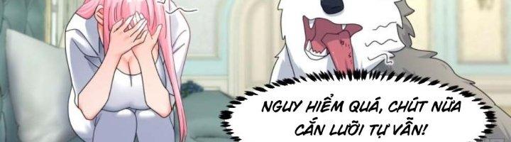 Trọng Sinh Thành Chó Của Nữ Thần Chapter 297 - Trang 3