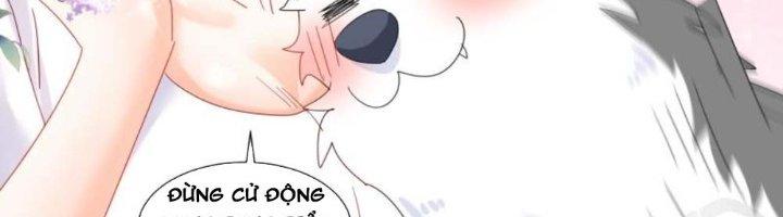 Trọng Sinh Thành Chó Của Nữ Thần Chapter 297 - Trang 3