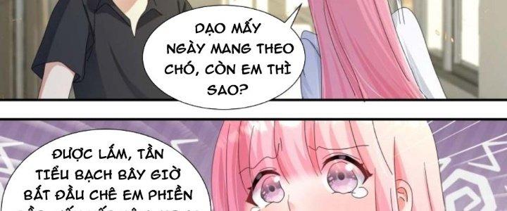 Trọng Sinh Thành Chó Của Nữ Thần Chapter 299 - Trang 3