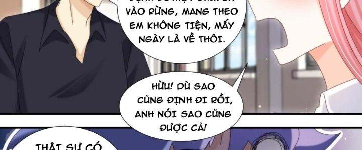 Trọng Sinh Thành Chó Của Nữ Thần Chapter 299 - Trang 3