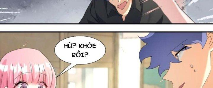 Trọng Sinh Thành Chó Của Nữ Thần Chapter 299 - Trang 3