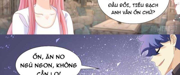 Trọng Sinh Thành Chó Của Nữ Thần Chapter 303 - Trang 3