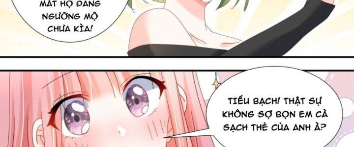 Trọng Sinh Thành Chó Của Nữ Thần Chapter 306 - Trang 4