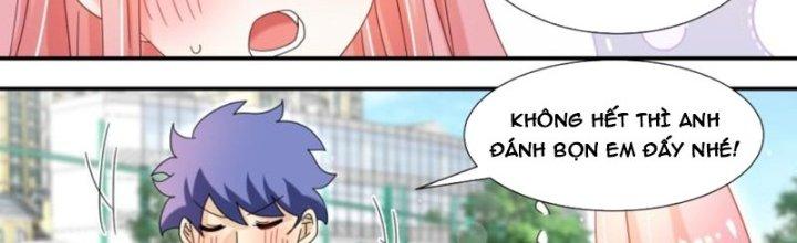 Trọng Sinh Thành Chó Của Nữ Thần Chapter 306 - Trang 4
