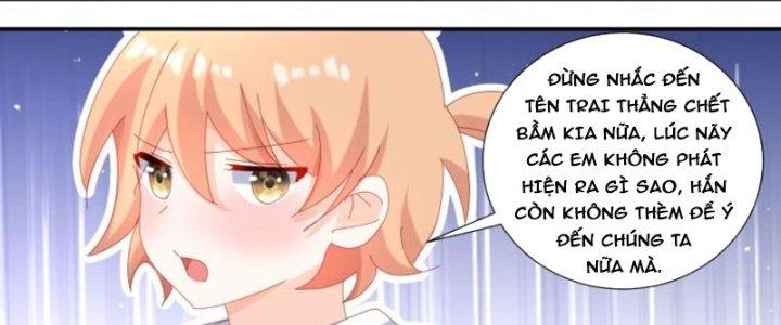 Trọng Sinh Thành Chó Của Nữ Thần Chapter 306 - Trang 4