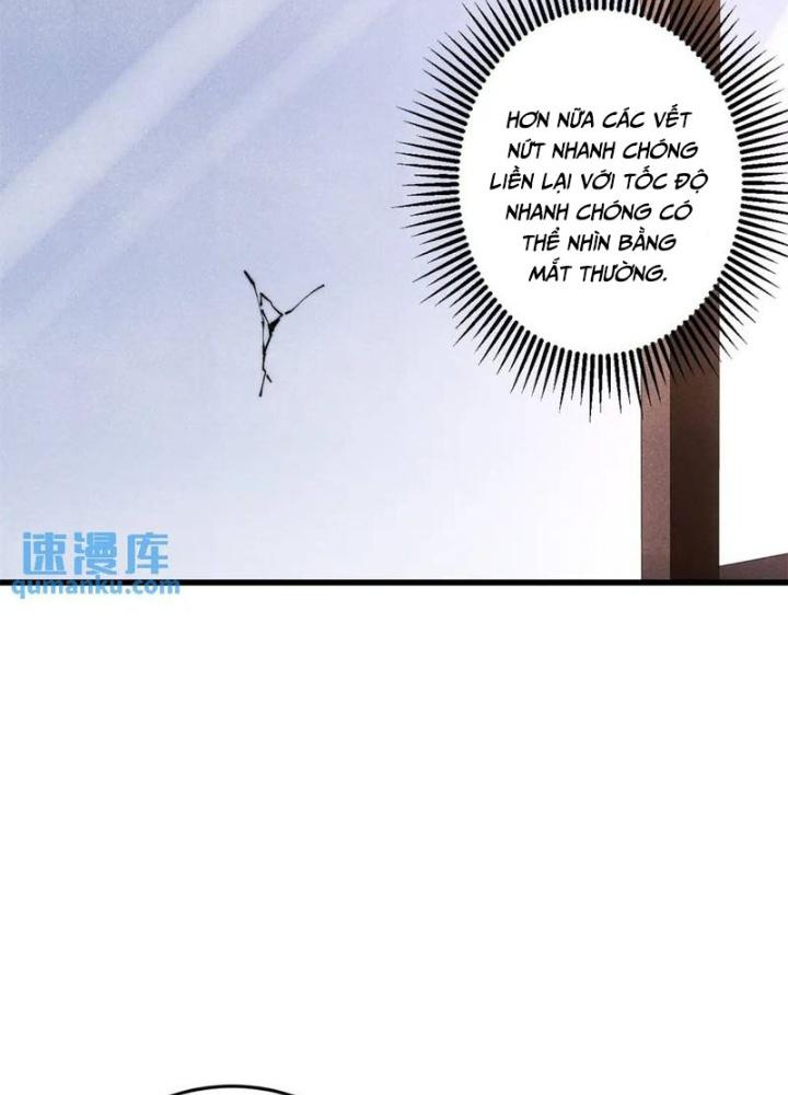 Người Chơi Hung Mãnh Chapter 117 - Trang 2