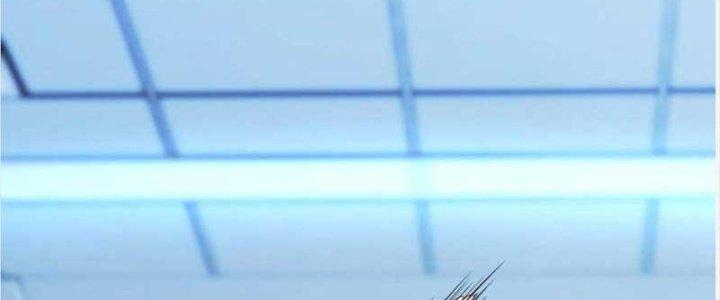 Trợ Lý Thánh Tôn, Ta Đã Vô Địch Chapter 86 - Trang 3