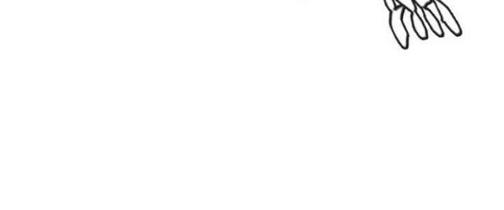 Văn Âm Sư Chapter 205 - Trang 3