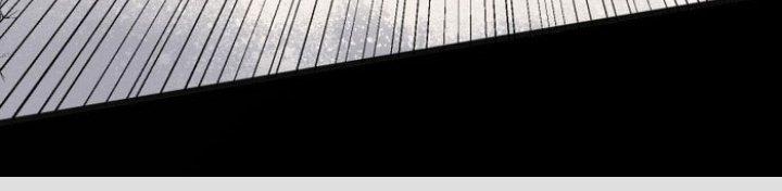 Văn Âm Sư Chapter 207 - Trang 3