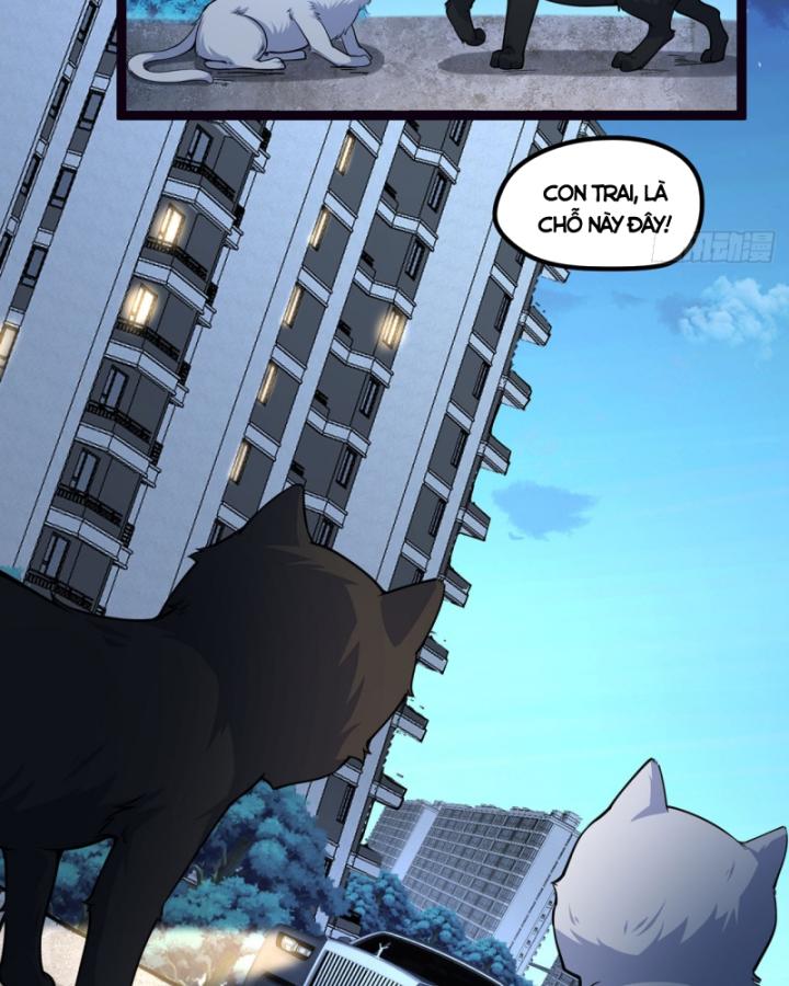 Ngài Hoàn Toàn Không Tiết Lộ Sao? Chapter 18 - Trang 2