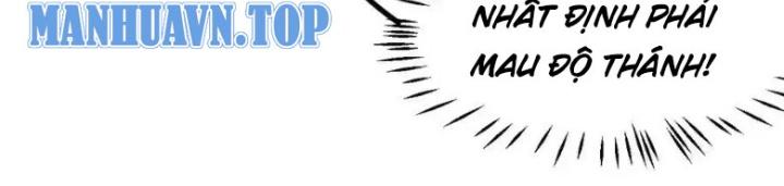 Tu Luyện Thành Tiên Ta Chỉ Muốn Nuôi Nữ Đồ Đệ Chapter 217 - Trang 3