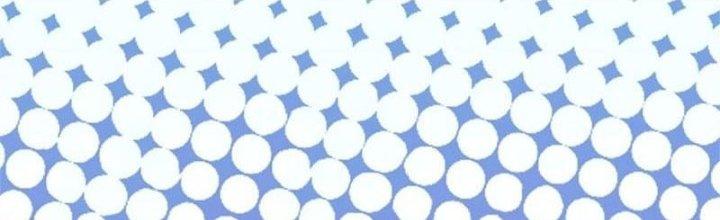 Ta Được Nuôi Dưỡng Bởi Nữ Ma Đầu Chapter 4 - Trang 2