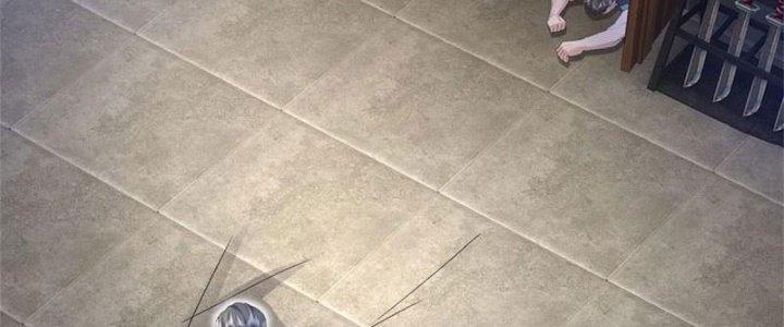 Ta Được Nuôi Dưỡng Bởi Nữ Ma Đầu Chapter 7 - Trang 2