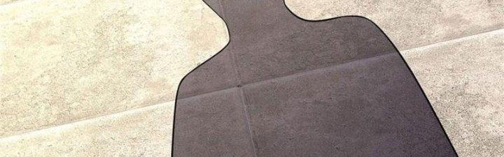 Ta Được Nuôi Dưỡng Bởi Nữ Ma Đầu Chapter 6 - Trang 2