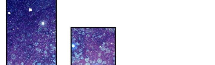 Ta Được Nuôi Dưỡng Bởi Nữ Ma Đầu Chapter 10 - Trang 2