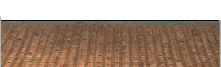 Ta Được Nuôi Dưỡng Bởi Nữ Ma Đầu Chapter 23 - Trang 2