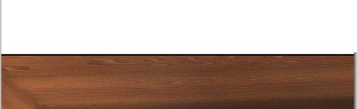 Ta Được Nuôi Dưỡng Bởi Nữ Ma Đầu Chapter 23 - Trang 2