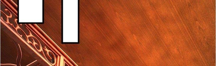 Ta Được Nuôi Dưỡng Bởi Nữ Ma Đầu Chapter 25 - Trang 2