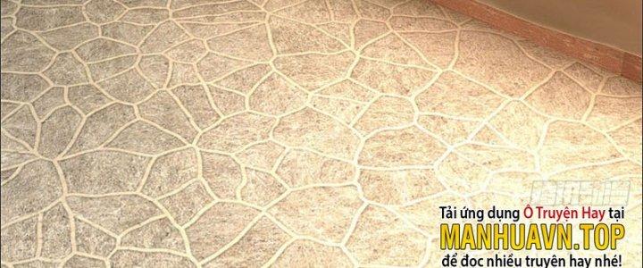 Ta Được Nuôi Dưỡng Bởi Nữ Ma Đầu Chapter 24 - Trang 2