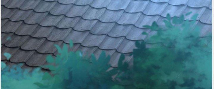 Ta Được Nuôi Dưỡng Bởi Nữ Ma Đầu Chapter 35 - Trang 2