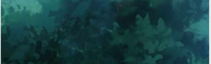 Ta Được Nuôi Dưỡng Bởi Nữ Ma Đầu Chapter 35 - Trang 2