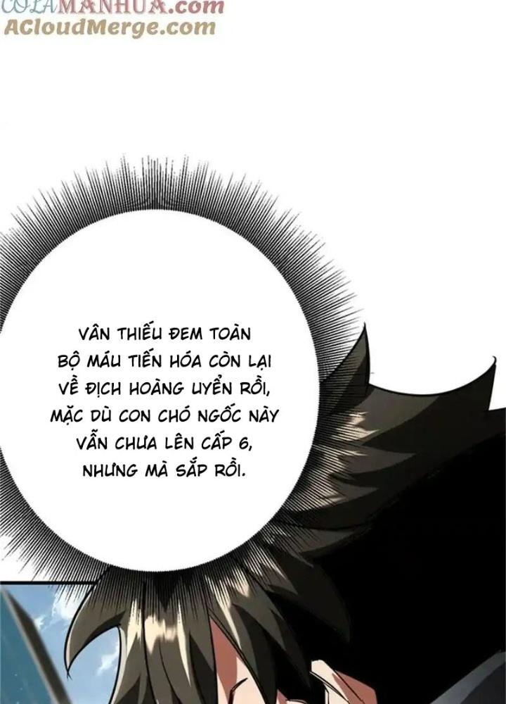 Luân Bàn Thế Giới Chapter 208 - Trang 3