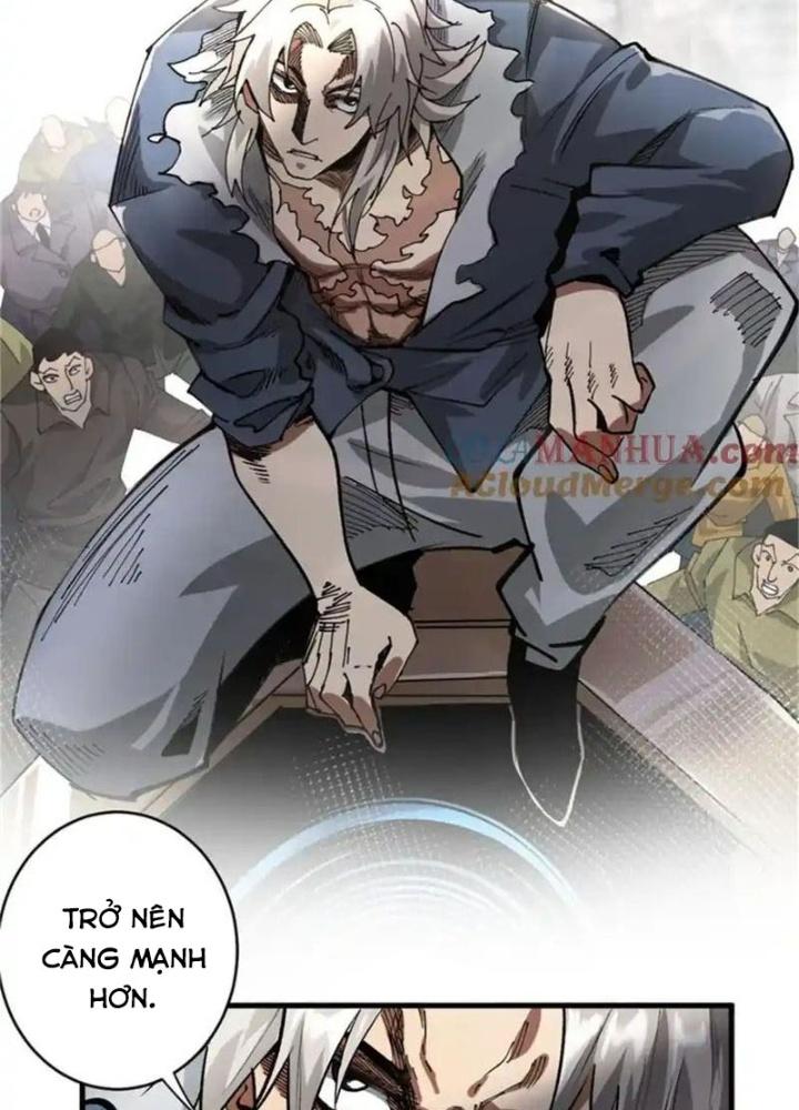 Luân Bàn Thế Giới Chapter 208 - Trang 3