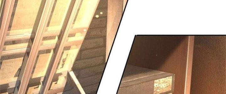 Ta Được Nuôi Dưỡng Bởi Nữ Ma Đầu Chapter 3 - Trang 2