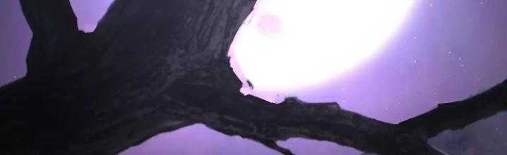 Tạo Vật Giả Chapter 59 - Trang 2